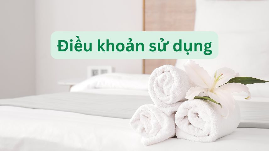 Điều khoản sử dụng website