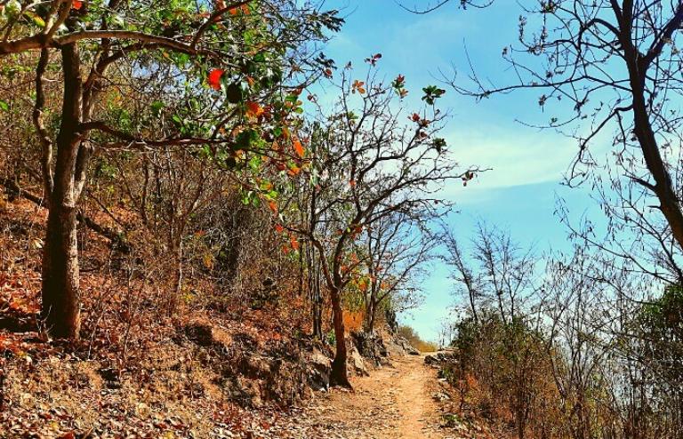 Hẻm 107 & 444 Trần Ph&uacute;