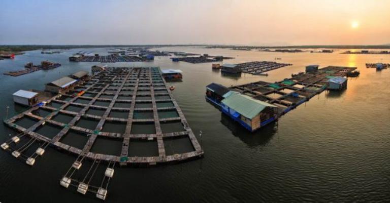 Khám Phá 30 Địa Điểm Du Lịch Vũng Tàu Không Thể Bỏ Qua 2026