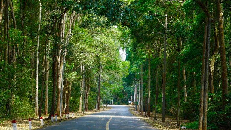 Khu Bảo Tồn B&igrave;nh Ch&acirc;u - Phước Bửu