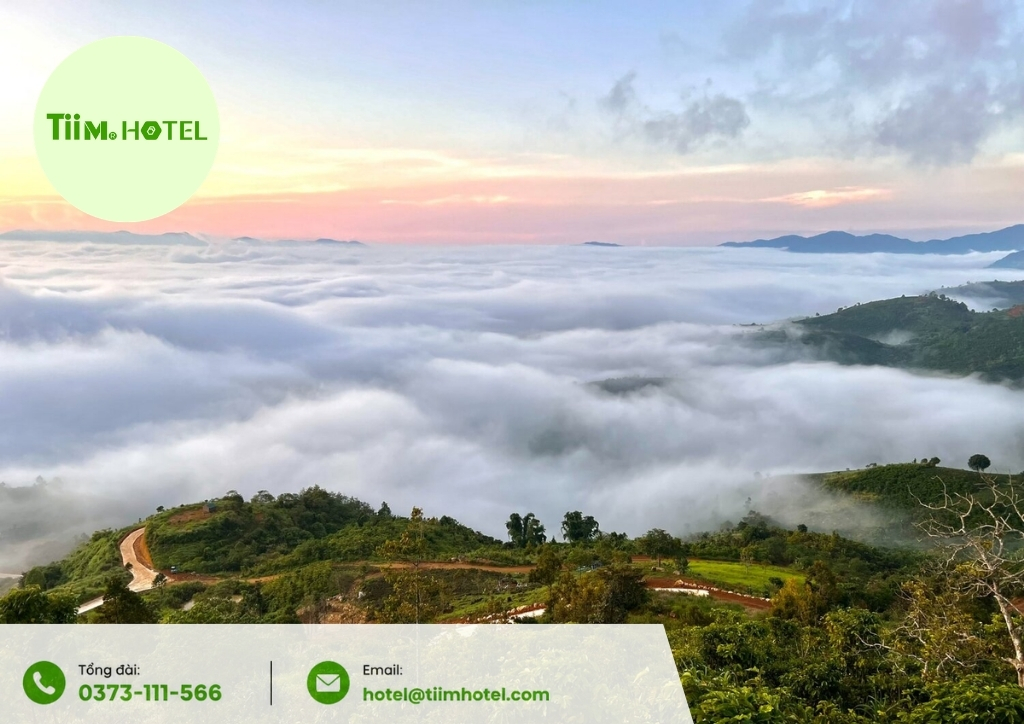 glamping bảo lộc