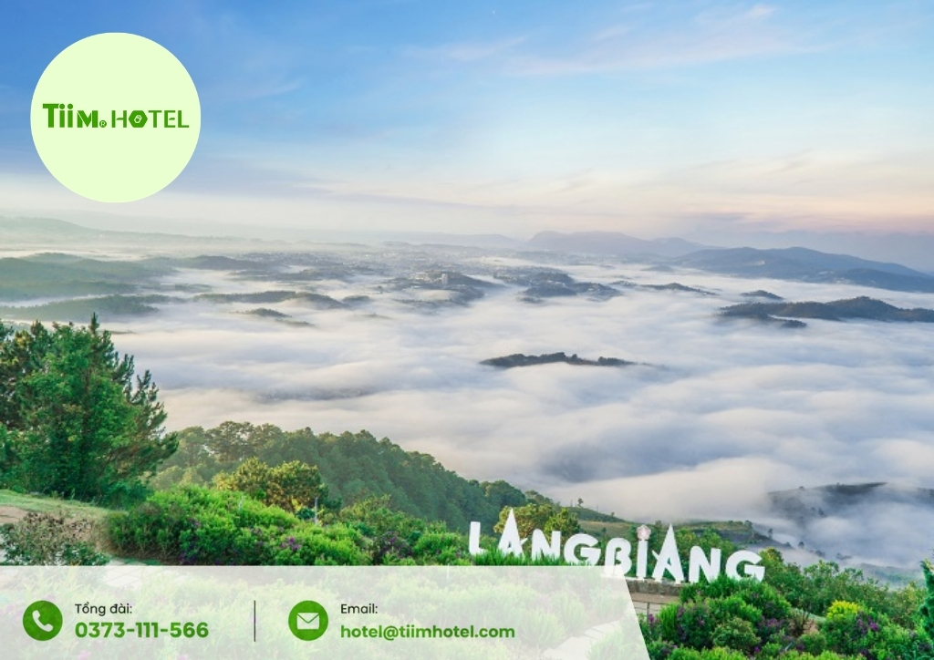 staycation đà lạt cho gia đình