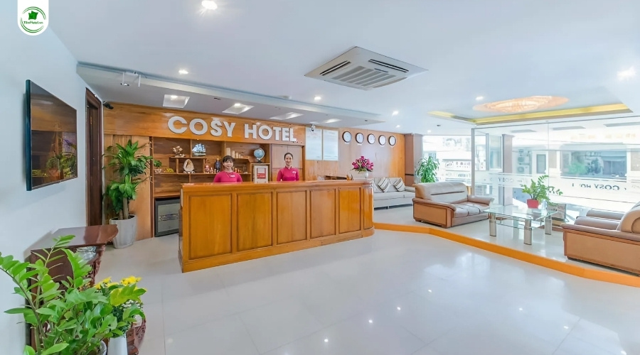 Nha Trang Cozy Hotel gần biển giá rẻ