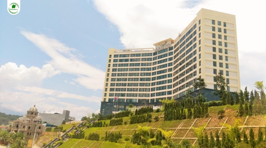 Khách sạn Aristo International Hotel 5 sao