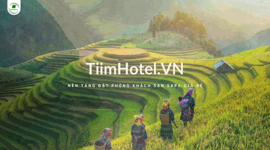 Đặt phòng khách sạn Sapa view đẹp, giá tốt trên TiimHotel