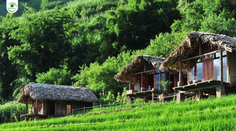 Khách sạn Phơri's House view đẹp, giá rẻ