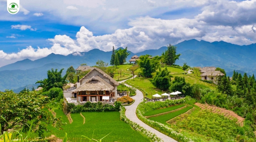 Khách sạn Topas Ecolodge Hotel 5 sao Sapa view đẹp