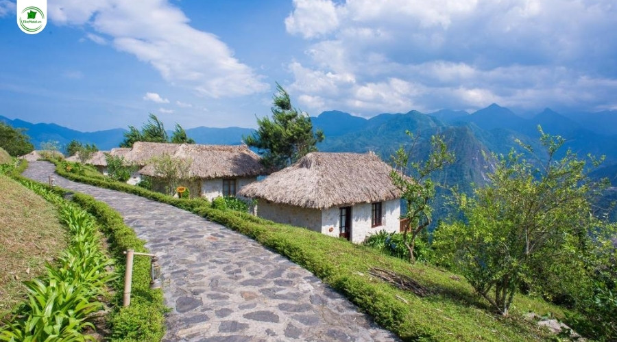 Khách sạn Topas Ecolodge Hotel 5 sao Sapa view núi