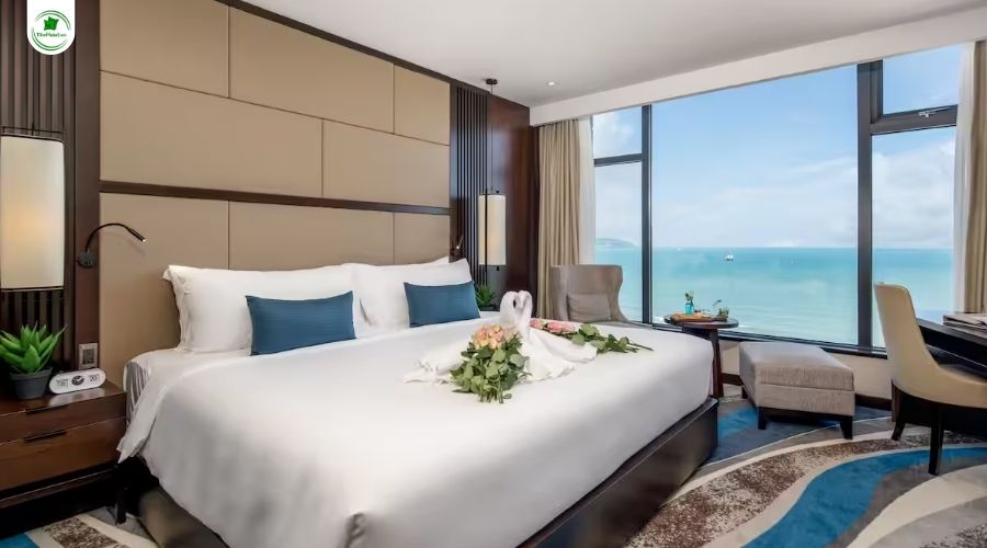 Khách sạn 4 sao Minh Toan SAFI Ocean Hotel Đà Nẵng