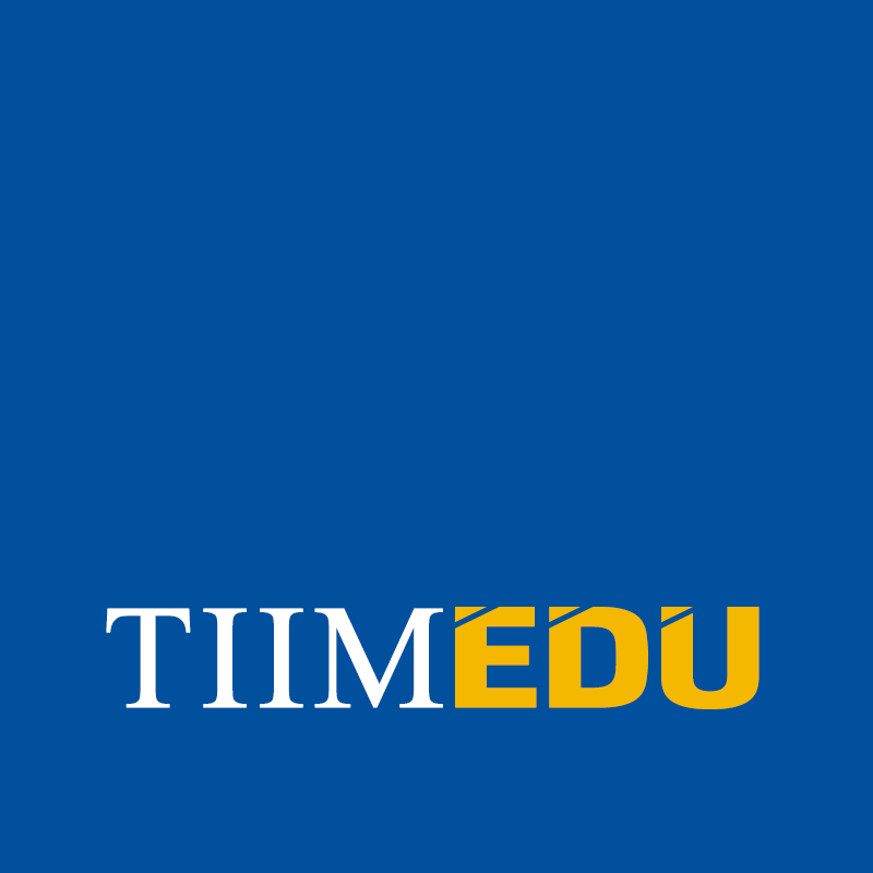 img-tiimlimo