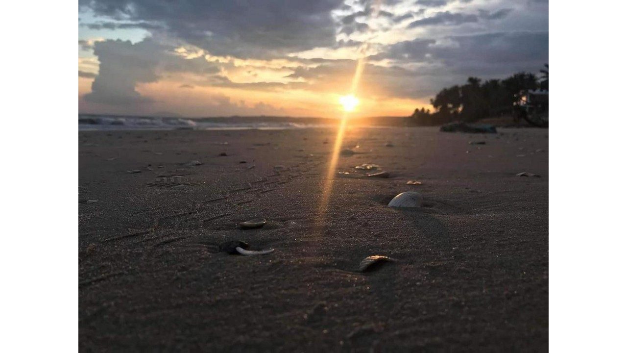 Ảnh phần content-gallery