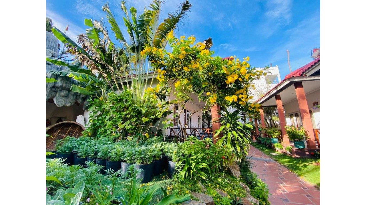 Ảnh phần content-gallery