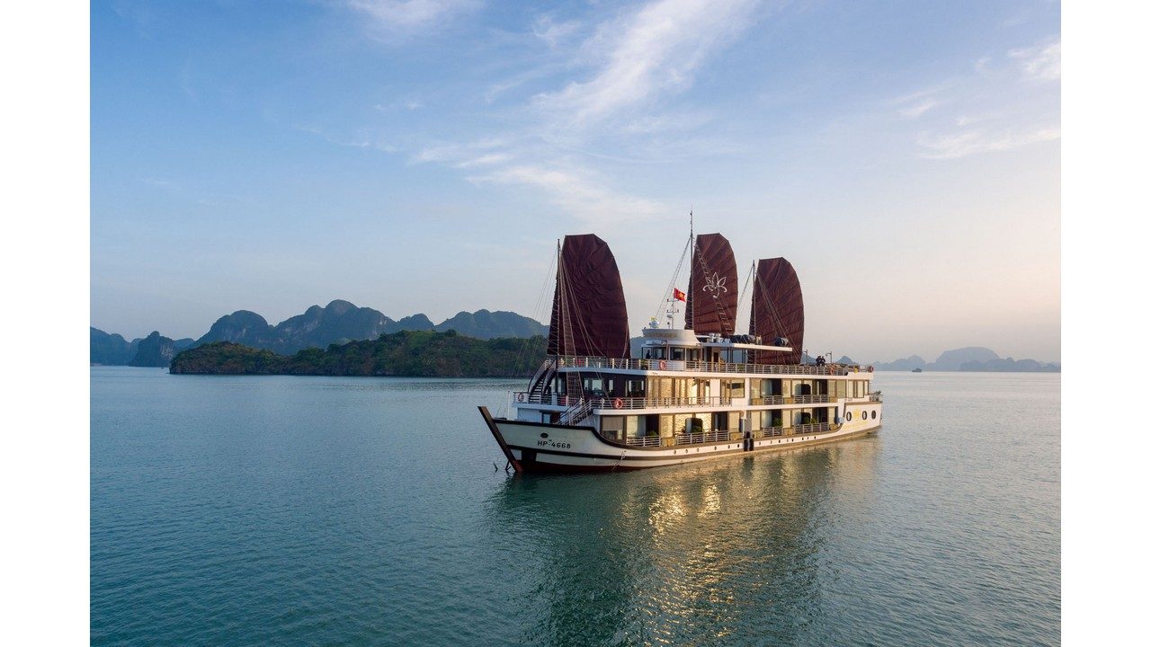 Orchid Trendy Cruise