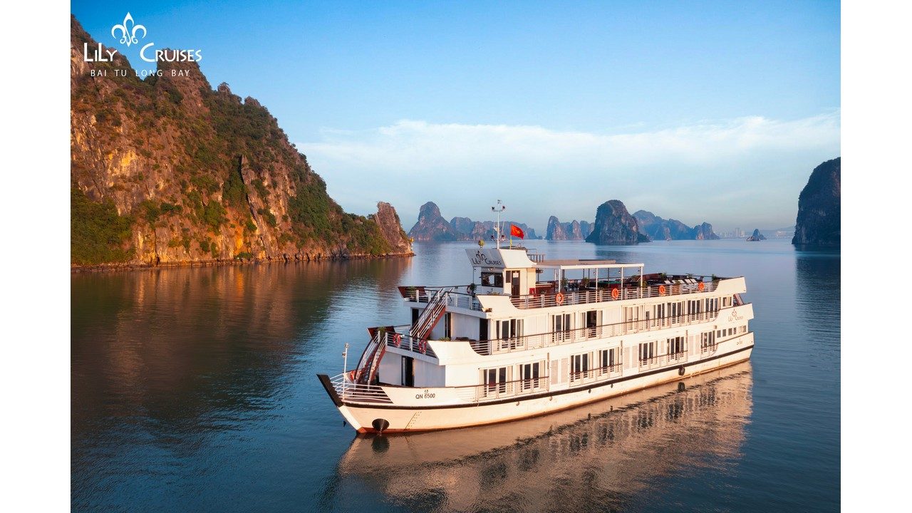 Lily Cruise