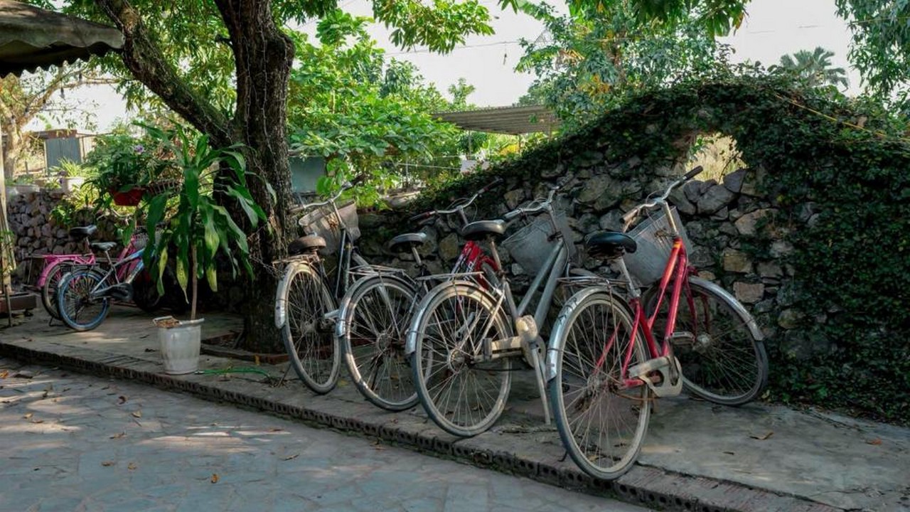 Ảnh phần content-gallery