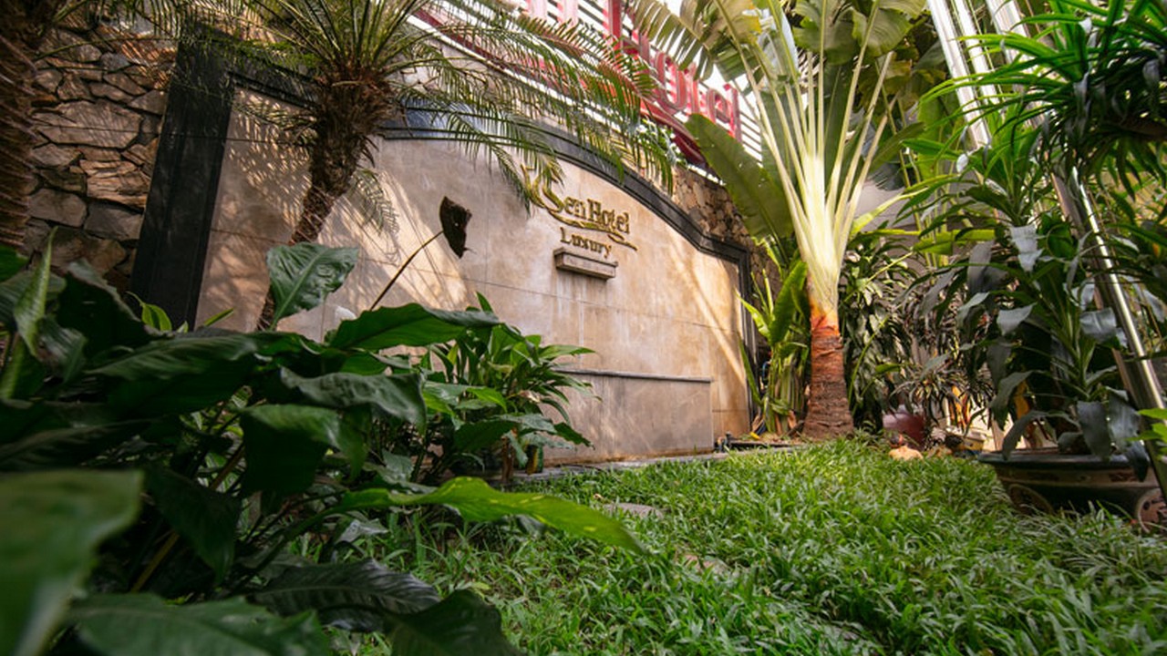 Ảnh phần content-gallery