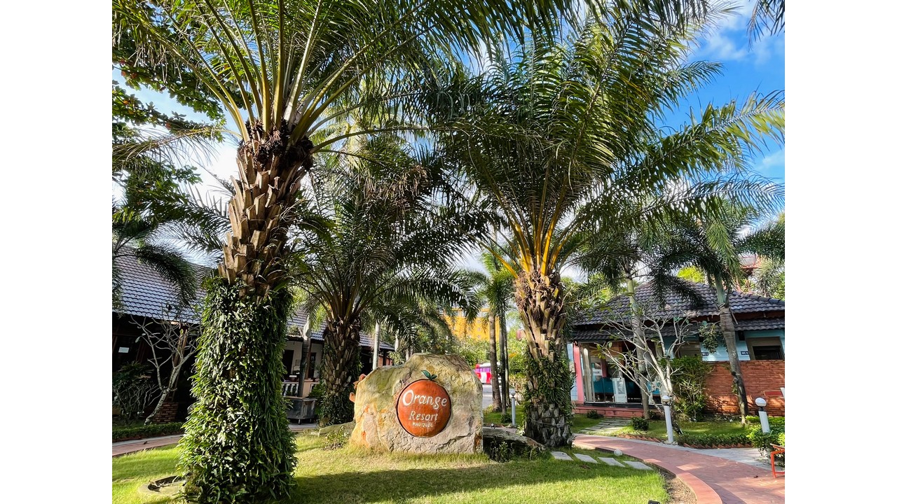 Orange Resort